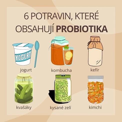 Probiotika a prebiotika – jaký je mezi nimi rozdíl? | Herbalus