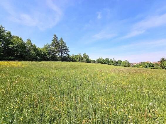 Prodej Pozemek, Horní Bříza, okres Plzeň-sever