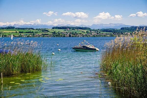Turistika s dětmi: přes Mont Vully k Murtensee - Naše švýcarské zážitky