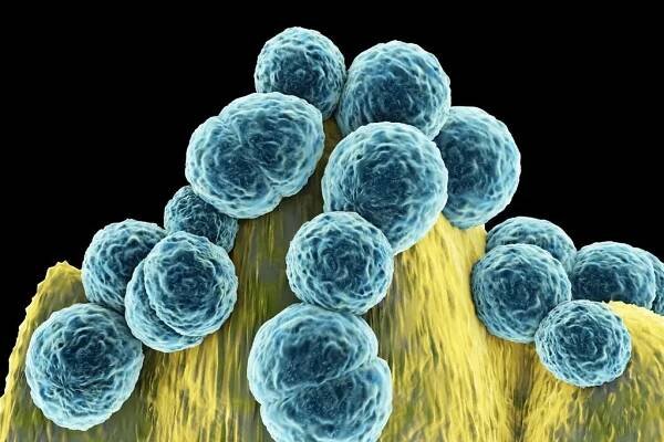 Deadly hospital infections QUADRUPLE as staff struggle to fight superbugs - The Mirror