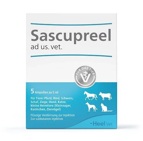 Sascupreel_FS_5Amp