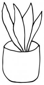 Doodle ilustrace domácí rostliny. Kreslený náčrtek ilustrace domu rostliny. Doodle domácí květ izolované na bílém — Ilustrace