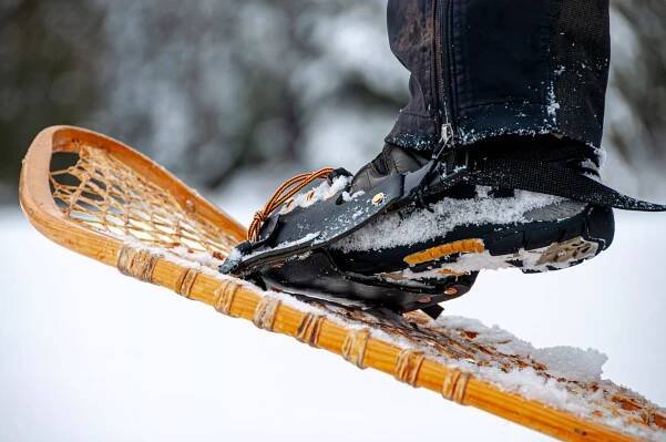 Snowshoe