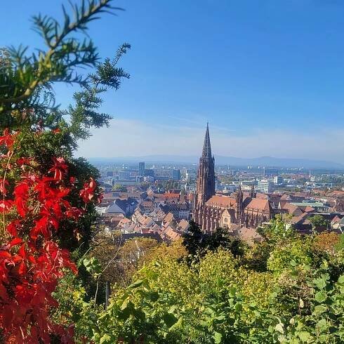 Freiburg - Historická procházka | GetYourGuide