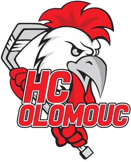Logo HCO.png