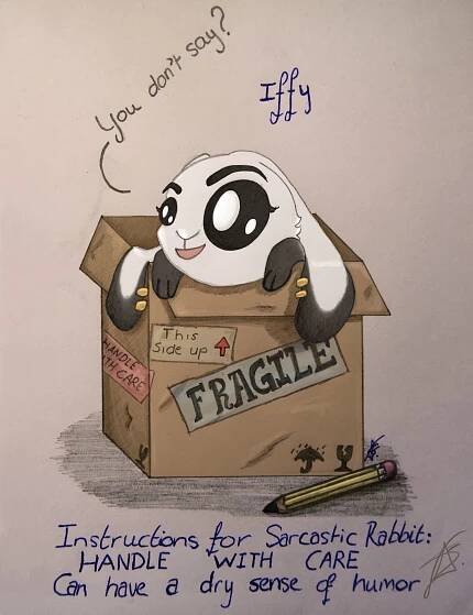 Boxed Critter Collection | Solus Zelt