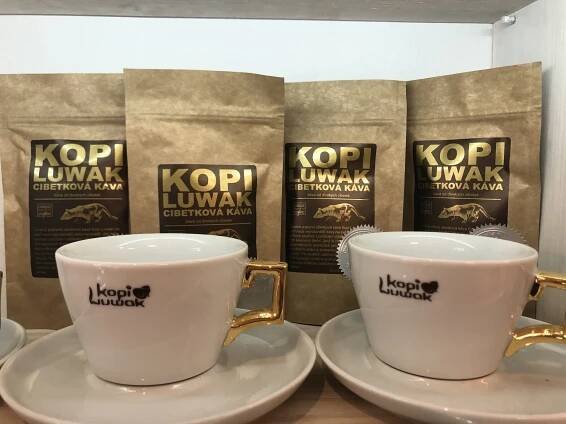 Horká káva podle výběru s sebou: americano, cappuccino a caffe latte