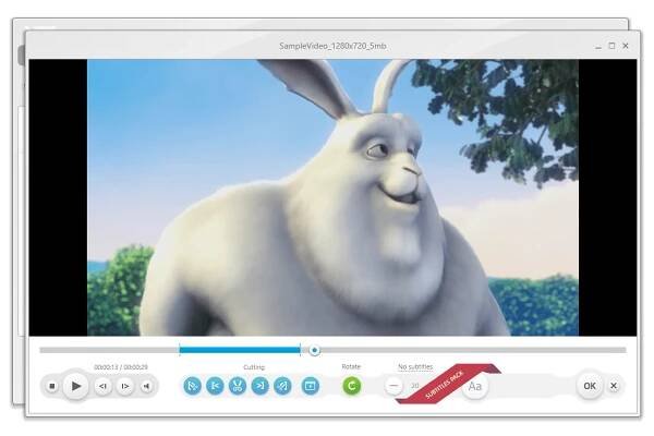Freemake Video Converter editor screen