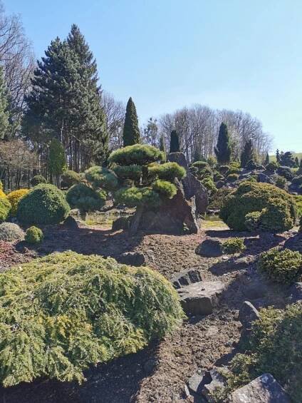Čtenáři výletují: V Miniarboretum U Holubů vás ohromí nejen čarodějné metly