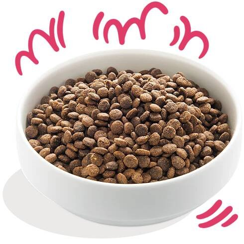Product - Dog Adult Kibble Organic Beef Chicken