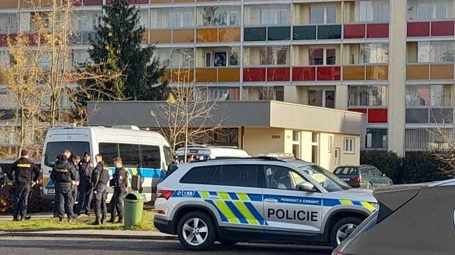 Vraždy v kraji: Ubodání chlapce, mrtvý novorozenec i znetvořená cizinka
