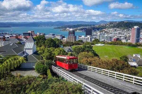 Auckland vs Wellington: Which City Is Best To Visit