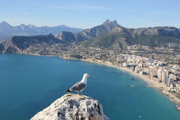Alicante z Prahy, Pardubic i okolí - letenky od 1679 Kč