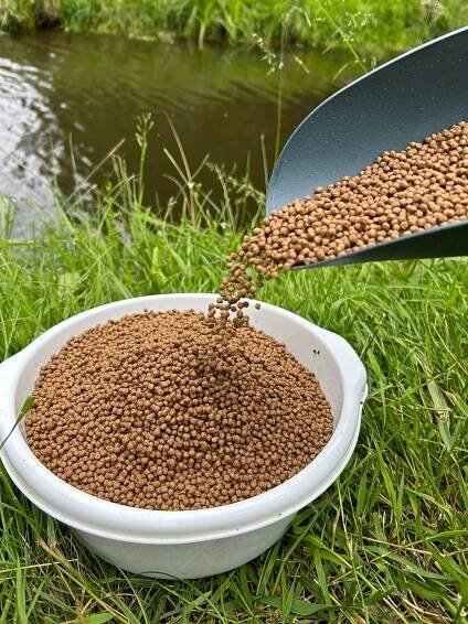 POISSON ORNEMENT 5 - 5,5 mm (15 kg)