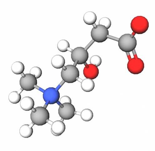 Carnitine (L-Carnitine) | Cosmetic Ingredients Guide
