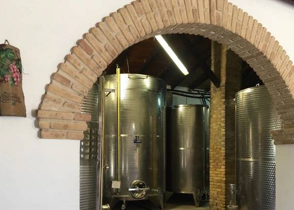Food and wine tour of San Vito Chietino 
