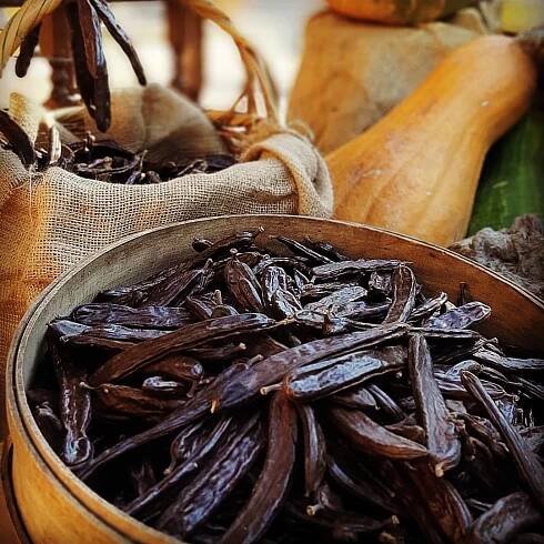 Our Gallery – Carob and Olive in Crete