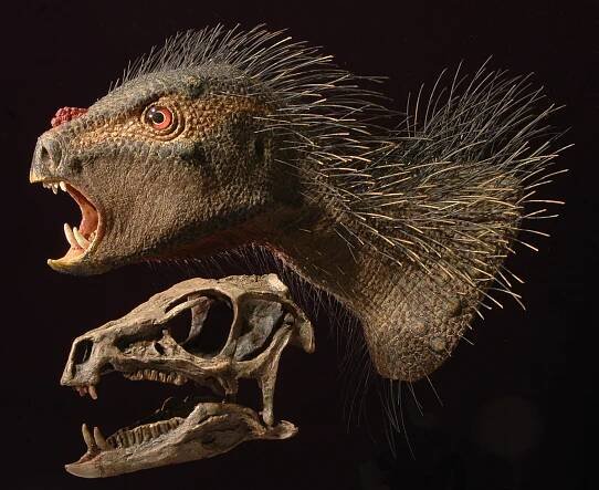 Dinosauří bratranec, který naboural zažité představy a zamotal vědcům hlavu