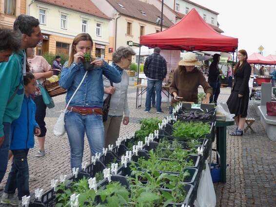 Šlágry farmářských trhů: brambory, koláče a bylinky