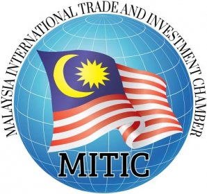 Logo-Mitic