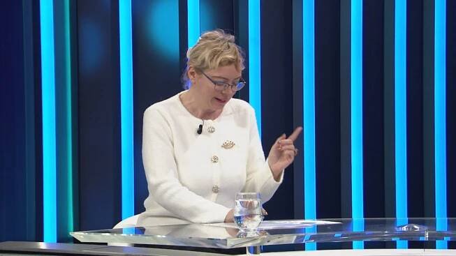 Ekonomka Ilona Švihlíková