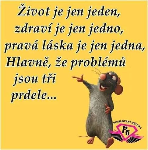 Mail Tiscali | Funny quotes, Good jokes, Funny photos