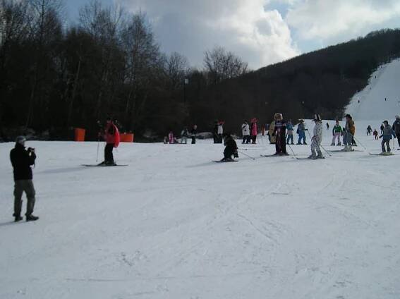 Karneval 2010 (galéria) - SKI CIGEL