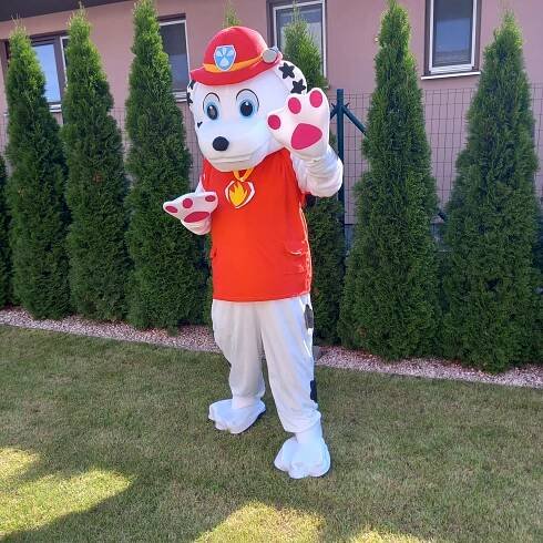 Maskot ‎‎‎‎40€/deň‏‎ - Atrakcie Show