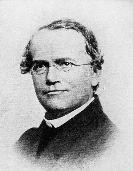 Zakladatel genetiky Gregor Johann Mendel má vlastní pivo. Víme, kde ho můžete ochutnat