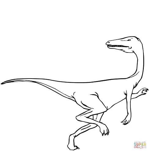 Velociraptor bez peří omalovánka | Omalovánky k Vytisknutí Zdarma