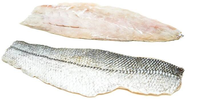 Fresh, wild-caught snook fillets displayed on a clean white background, showcasing their firm, white flesh and smooth texture.
