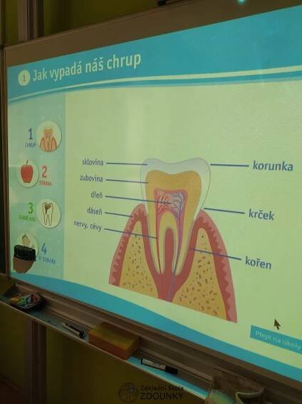 Základní škola Zdounky