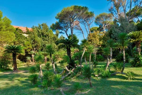 Discover the enchantment and historical charm | Belmonte Palace