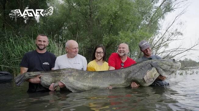Rekordní sumec 261cm z české svazovky