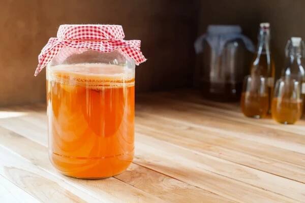 Kombucha – kde ji koupit, domácí výroba, účinky - MZ.cz