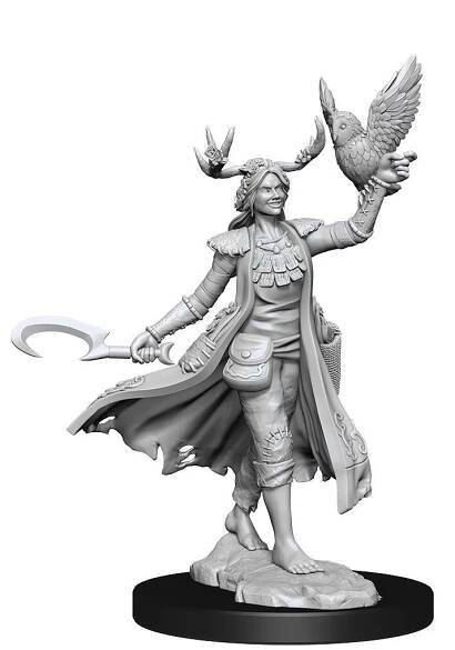 Dungeons & Dragons Frameworks Miniature Model Kit Human Druid Female Wizkids
