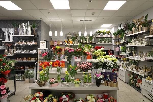 KVETINÁRSTVO ČADCA - Tesco - Orchidea - Kvetinárstvo