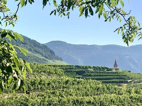 Steinriegl ve Weissenkirchenu ve Wachau