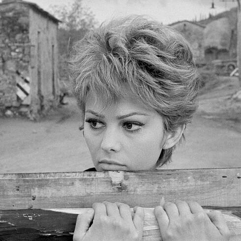 Claudia Cardinale Gets MoMA Tribute for Film Career