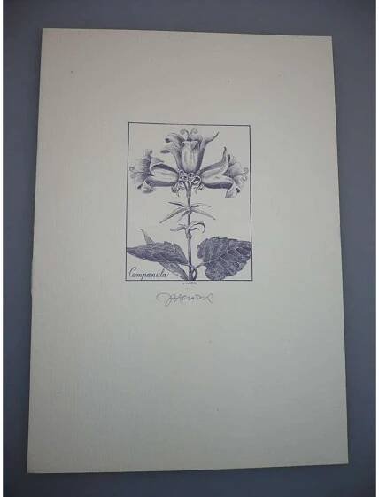 Josef Herčík (1922 - 1999) - Campanula (zvonek) - oceloryt, grafika, signováno - Antikvariát Valentinská