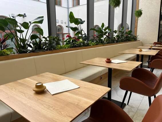 Interiérové rostliny v Piazza Caffé v pasáži Omega v Brně.