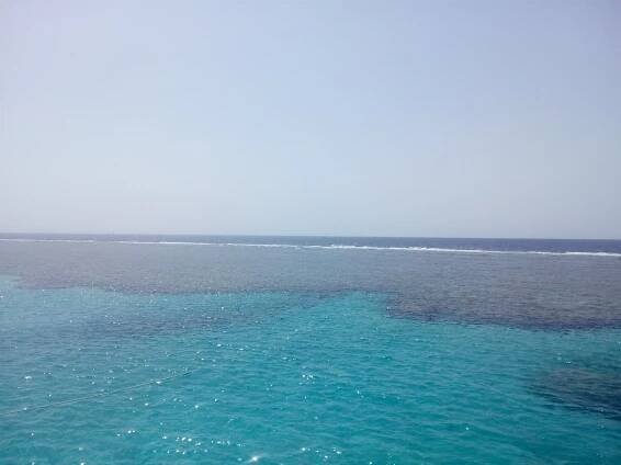 Sataya Reef – Alíkoviny – Alík.cz