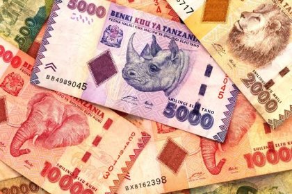 Měna a ceny na Zanzibaru
