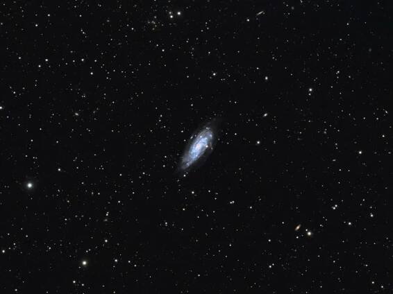 NGC 4559 Ron Brecher, Guelph, Ontario, Canada, 1 May 2022 Equipment: QHYCCD QHY600M camera, Sky-Watcher Esprit 150ED refractor, Paramount MX mount