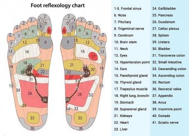 Každodenní obuv na akupunkturu nohou a reflexní terapii