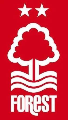 Nottingham Forest flag
