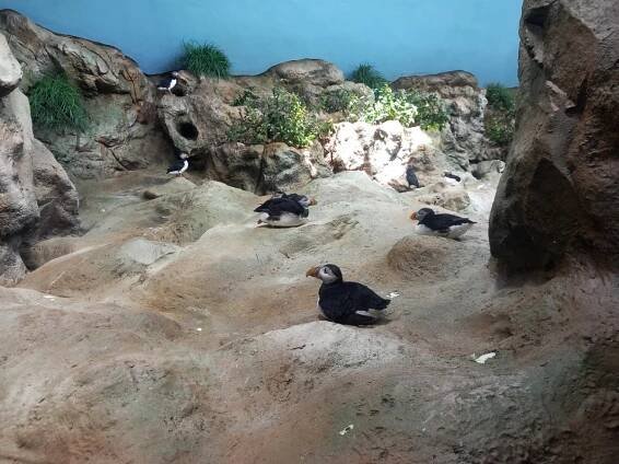Světoznámá ZOO na Tenerife