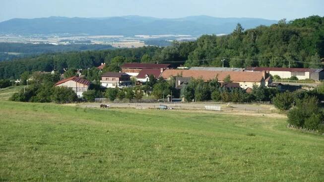 FARMA ŽLUTAVA - Živéfirmy.cz