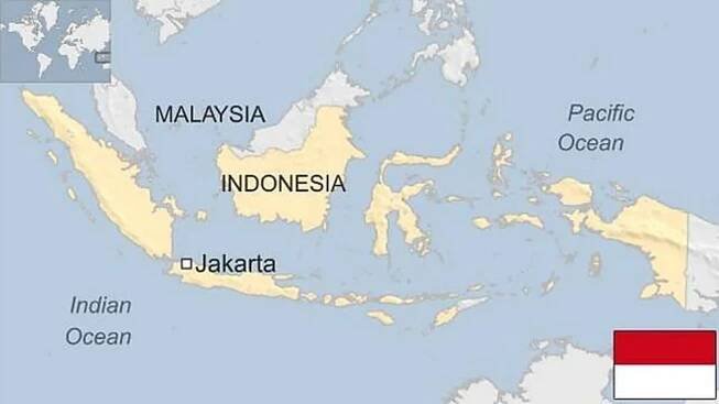 Indonesia country profile