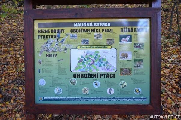 Doubravka Teplice 19